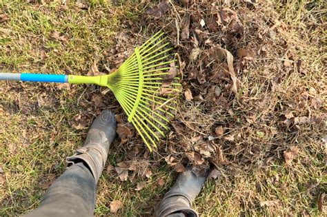 Spring Cleaning Of The Garden With A Rake From Fallen Leaves Dry Grass