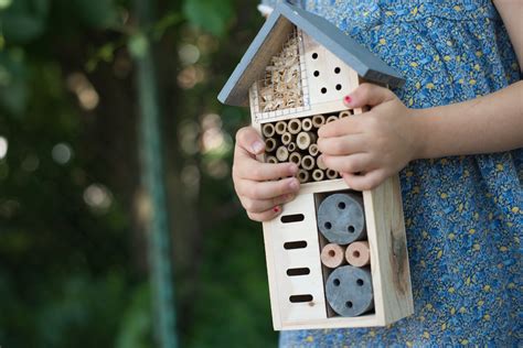 Fabriquer Un Hôtel à Insectes Avec Les Enfants Nos Conseils Pour Le