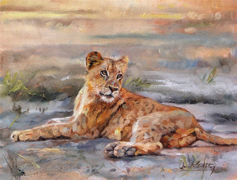 Lion Cub Painting By David Stribbling