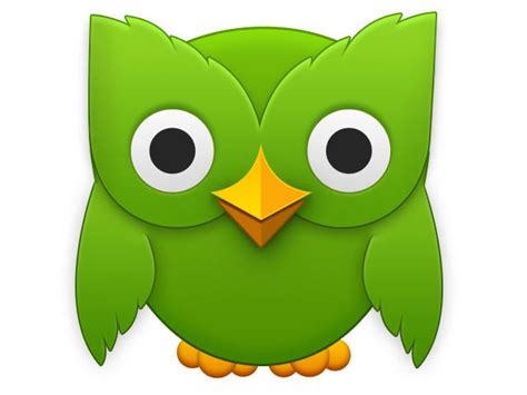 He is a male green owl of an unknown species in the real world and is meant to symbolize knowledge, wisdom, and learning. studentessa matta learn italian