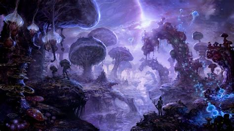 Magic Mushroom Forest Wallpapers Top Free Magic Mushroom Forest