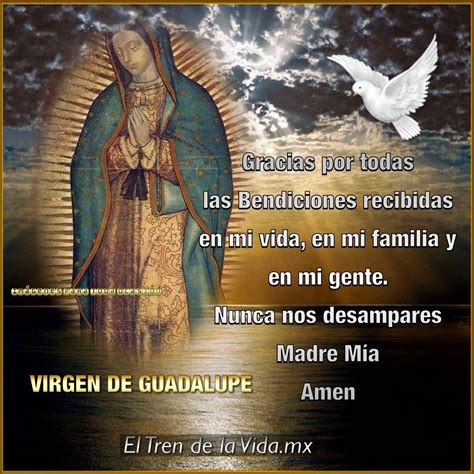 Frases De Agradecimiento A La Virgen De Guadalupe