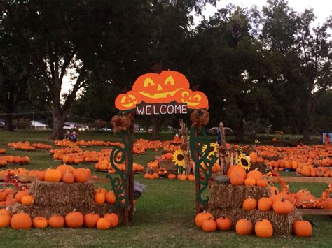15 Of The Best Pumpkin Patches In The Country Artofit