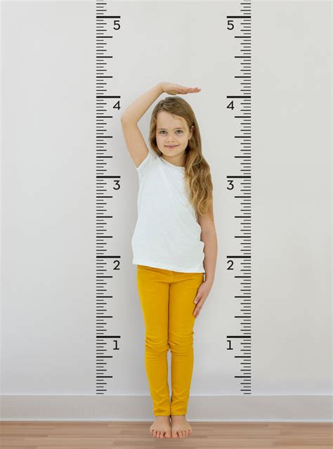 Growth Chart Ruler Decal - Children's Vinyl Wall Decal - Simple Shapes