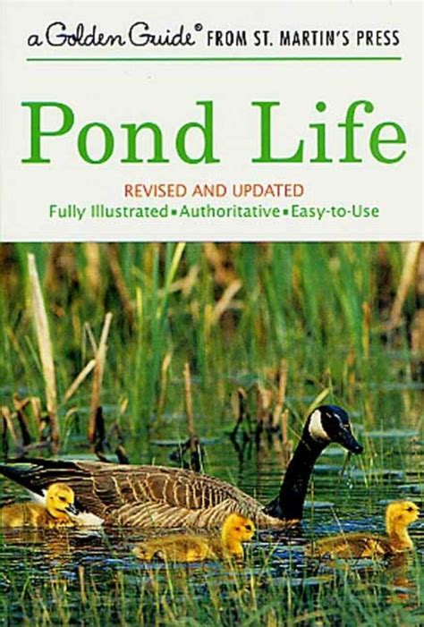 Pond Life George K Reid Macmillan Pond Life Pond Life