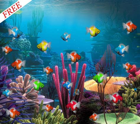 Free Aquarium Live Wallpaper Fish Aquarium Wallpapers