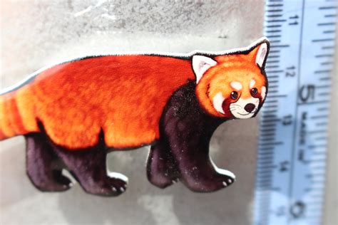 Red Panda Magnet T For Red Panda Lovers Chinese Animal Etsy