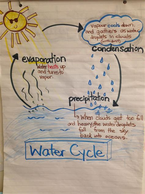 Water Cycle Anchor Chart With Images Nauka Przedszkole Środowisko
