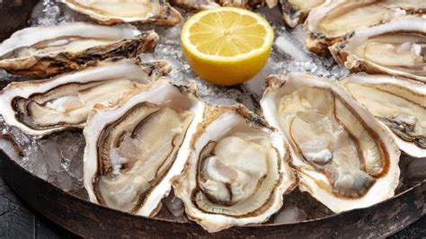 The Absolute Best Oysters In The Us