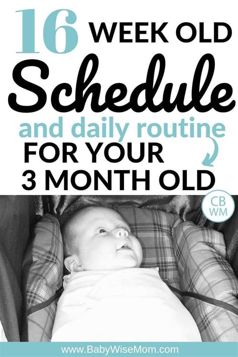 A Baby In A Car Seat With The Text 16 Week Old Schedule And Daily
