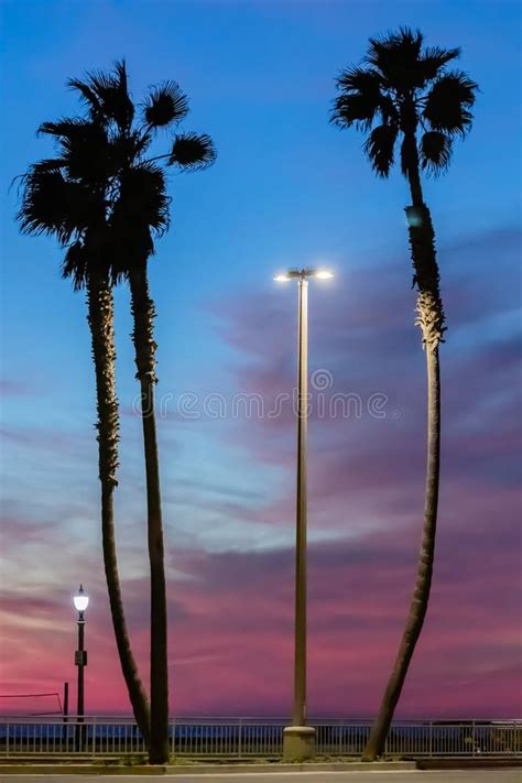 Palm Trees And Streetlights During A Colorful Sunset Stock