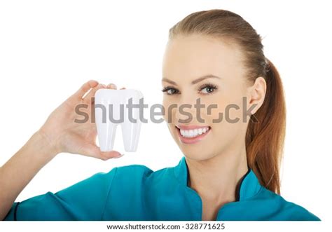 Beautiful Female Dentist Holding Tooth Model Stock Photo 328771625
