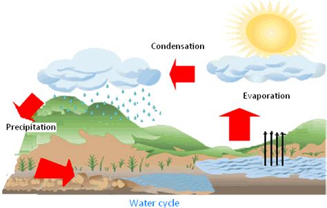 Forms Of Water Explanation On Water Cycle Along With The Picture Water