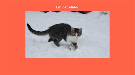 Little Cat Slider