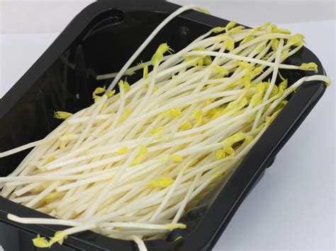 Look for edible pod peas with crisp pods that show no dark blemishes or. Pea sprouts