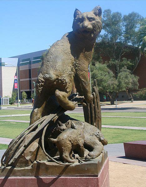 The Ghosts Of The University Of Arizona Phoenix Ghosts