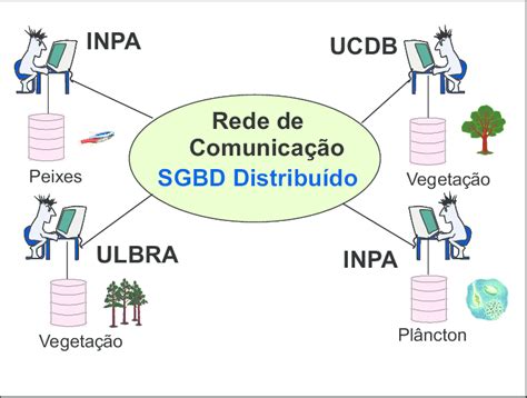 Bancos De Dados Distribu Dos Do Projeto Biotup Organizados Em Uma Download Scientific Diagram