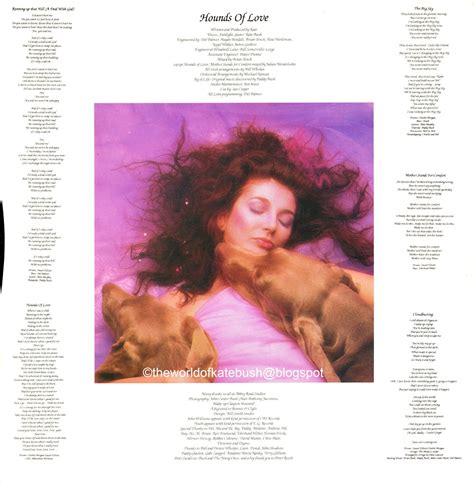 The World Of Kate Bush Hounds Of Love Uk Lp First Issue Pressing