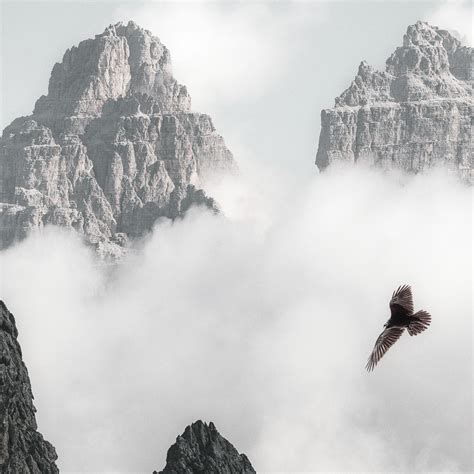2932x2932 Bald Eagle Flying Through Clouds And Mountains 4k Ipad Pro