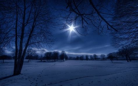 Free Download Blue Christmas Winter Night Wallpapers Paintings