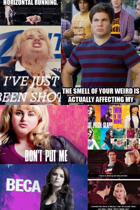 4.6 out of 5 stars 39. Pin on Pitch perfect/ fat Amy