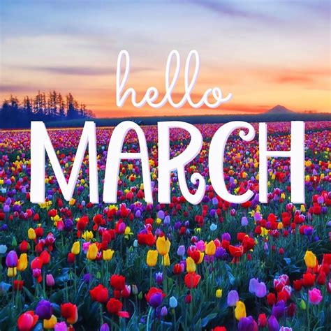 Pin By Clare Wright On March Images Hello March Hello March Images
