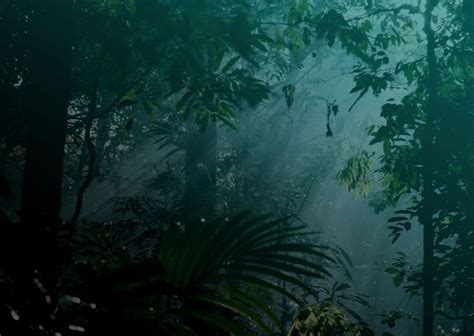 Amazon Night Jungle Photography Jurassic Park World Slytherin Aesthetic