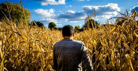 Brisk walking is an example of a moderate intensity aerobic activity. 7 corn mazes near Vancouver you need to visit this fall ...