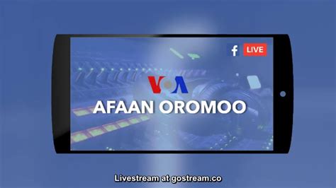 Livestream Voa Afaan Oromoo Youtube