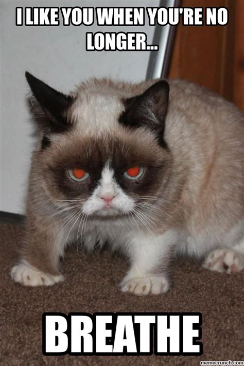 Grumpy Cat Meme Grumpy Cat Evil Dec 28 0124 Utc 2012 Grumpy Cat