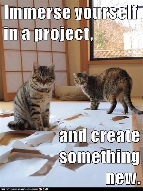 Growth Mindset And Feedback Cats Immerse Yourself In A Project And