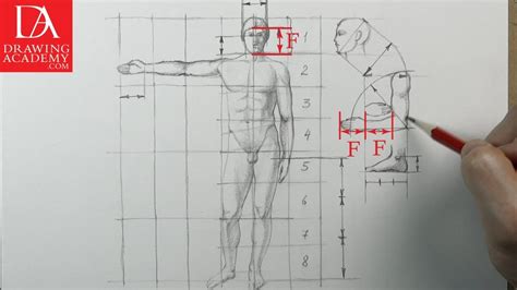 Proportion Of The Human Body Presented By Drawing Academy Com 33 Youtube