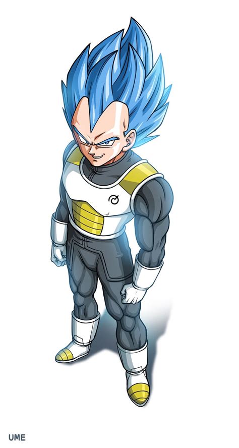 This also requires you to play as. Super Saiyan God Super Saiyan SSGSS Vegeta | Dessin annime ...