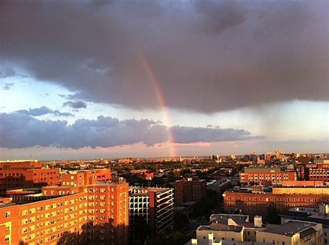 Rainbow Over Baltimore As Seen From The Charles Village Neighborhood
