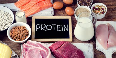 The Importance Of Protein Hello Fit