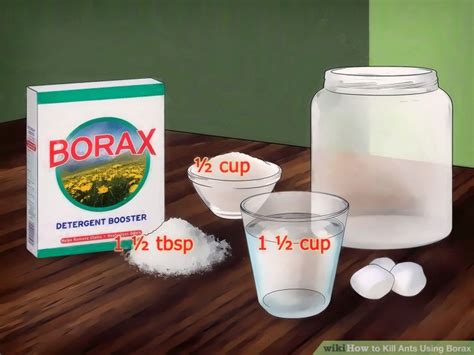 Remove or conceal any food sources that may attract ants. 20 Amazing Uses For Borax