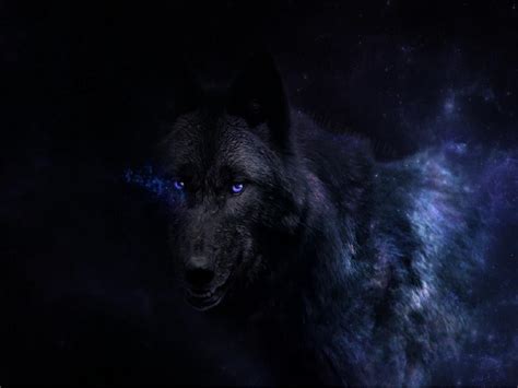 Black Wolf Wallpapers Hd Wallpaper Cave