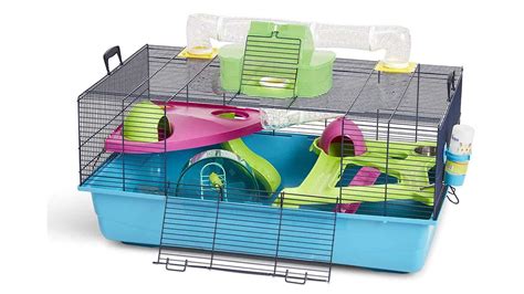 Cage Hamster Russe Ce Quil Faut Savoir Sur Ces Cages