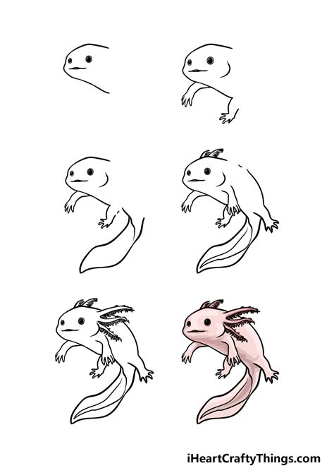 How To Draw An Axolotl A Step By Step Guide Artofit