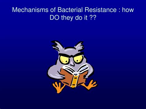 Ppt Antibiotic Pressure And Resistance In Bacteria Powerpoint