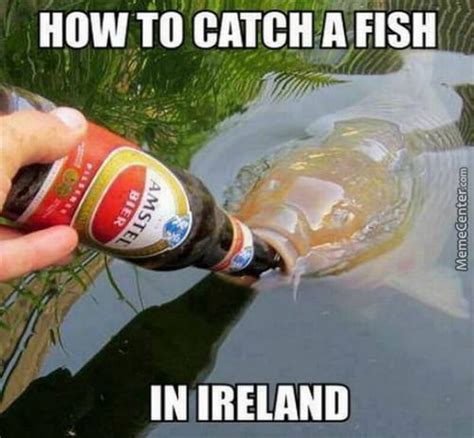 50 of the most epic irish memes on the internet ever 2018