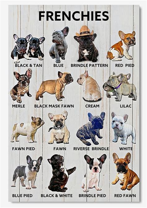 French Bulldog Breeding Color Chart
