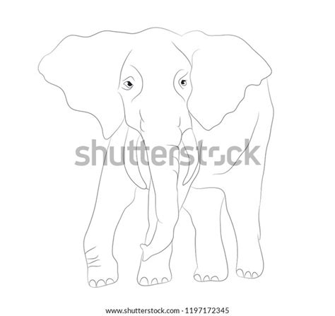 Elephant Graphic Line Goes Vector White Stock Vector Royalty Free