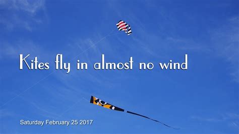 How Much Wind To Fly Kite New