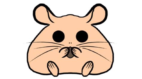 Cute Hamster Drawing Youtube