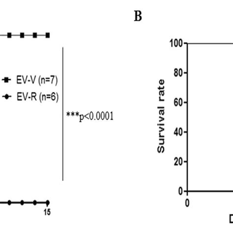 Challenging Hscarb2 Tg Mice With Ev V But Not Ev R Causes Lethal