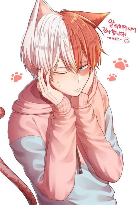 He is the product of a quirk marriage between his father with a fire quirk and a woman with an ice quirk. Pin on todoroki