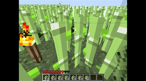 Finally, add sugar cane in front of the pistons. minecraft - how to get a lot of sugar cane on - YouTube