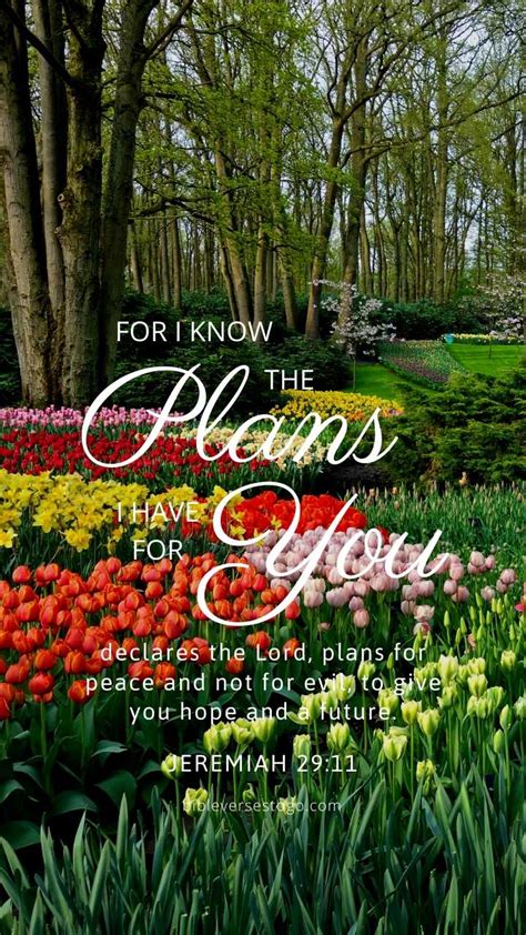 Flower Garden Jer 2911 Encouraging Bible Verses