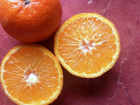 Free Stock Photo Of Fresh Vegetable Orange Juice Oranges